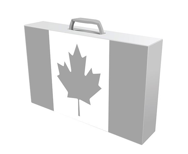 impôt sur le revenu du capital au canada