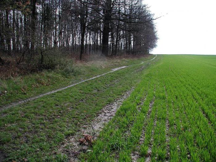 partage des terres
