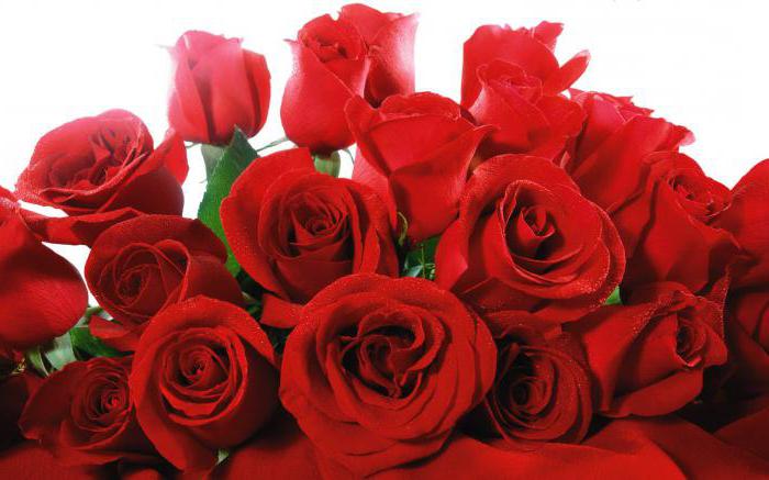 où poussent les roses