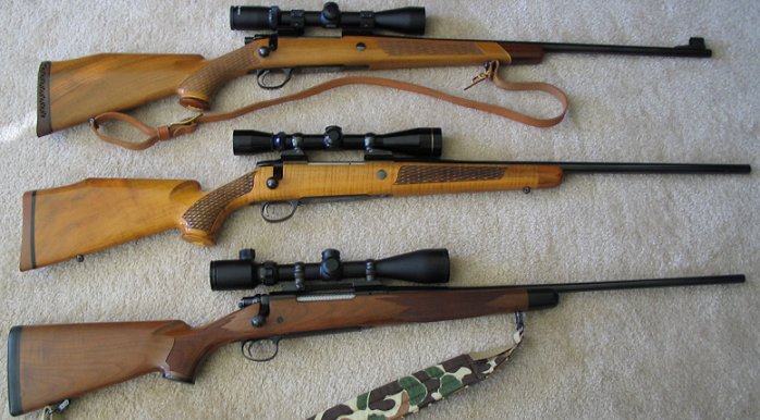 Documents pour l'obtention d'une licence d'armes à canon lisse