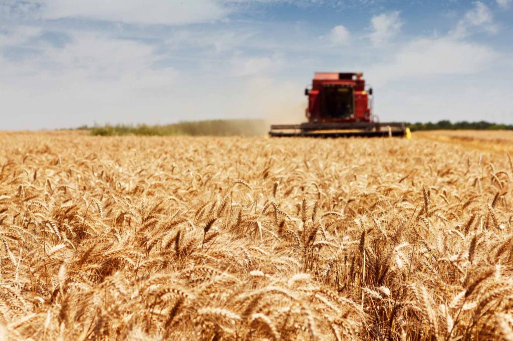 formes de coopération agricole
