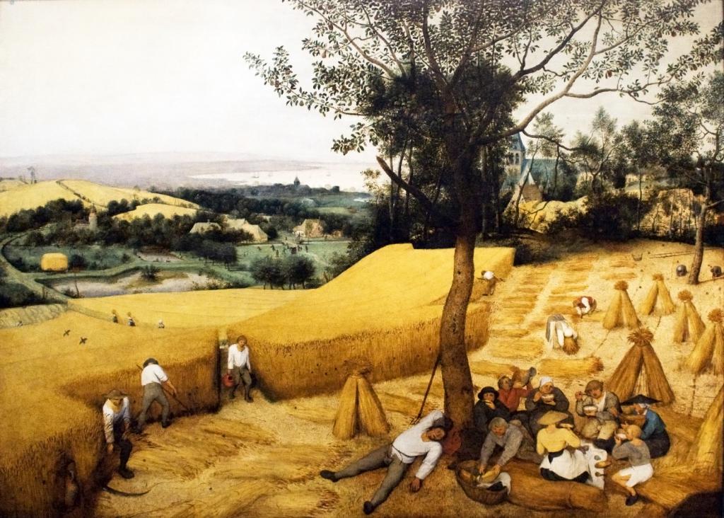 développement de la coopération agricole