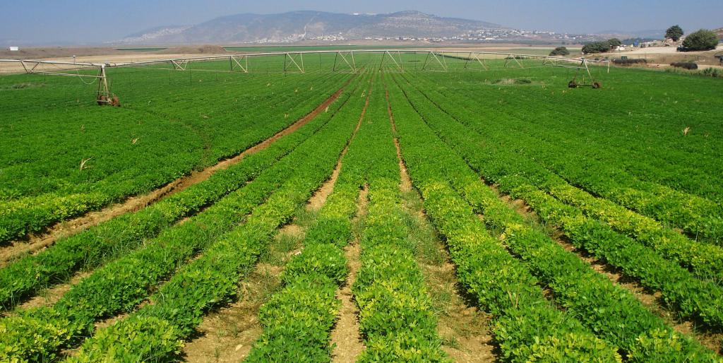 Terres agricoles