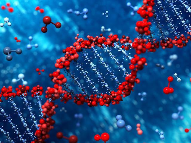 preuves du rôle génétique de l'adn