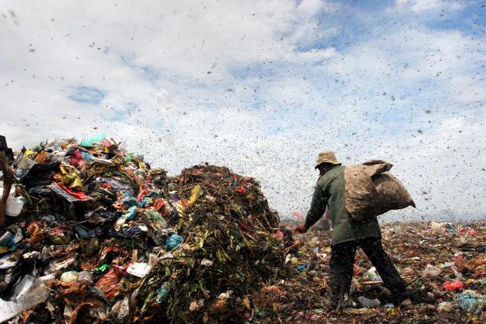 élimination des déchets biologiques