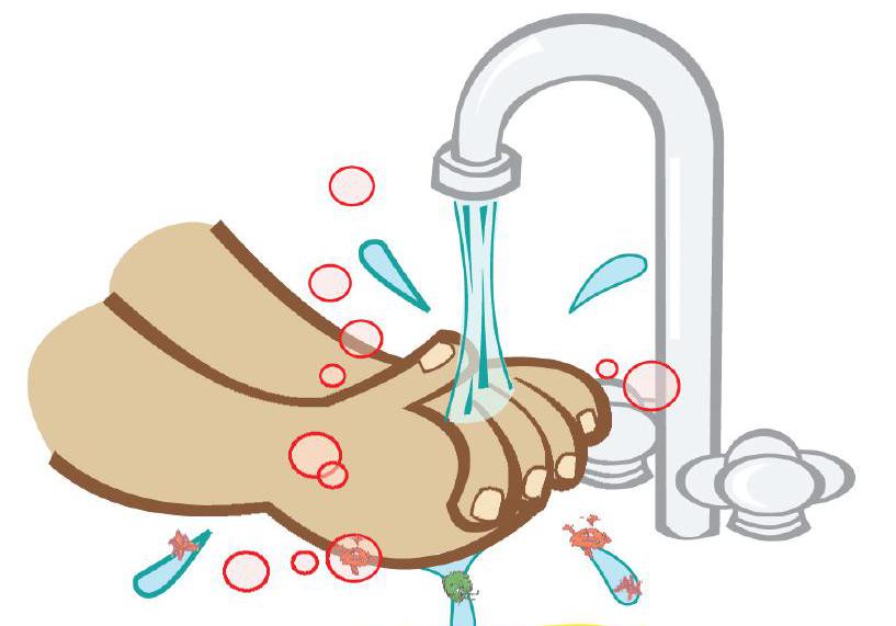 hygiène des mains