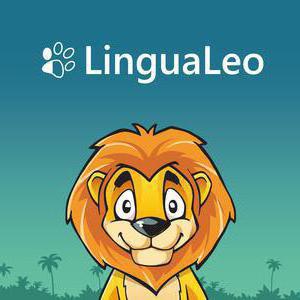 top meilleurs startups