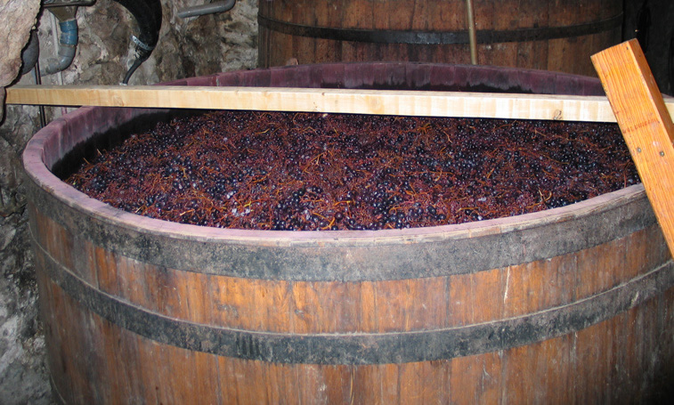 matériel de vin après pressage