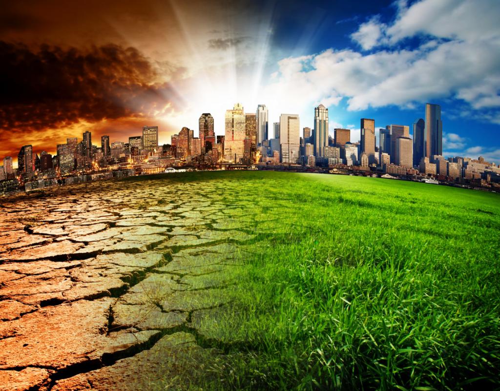 L'humanité détruit l'environnement naturel