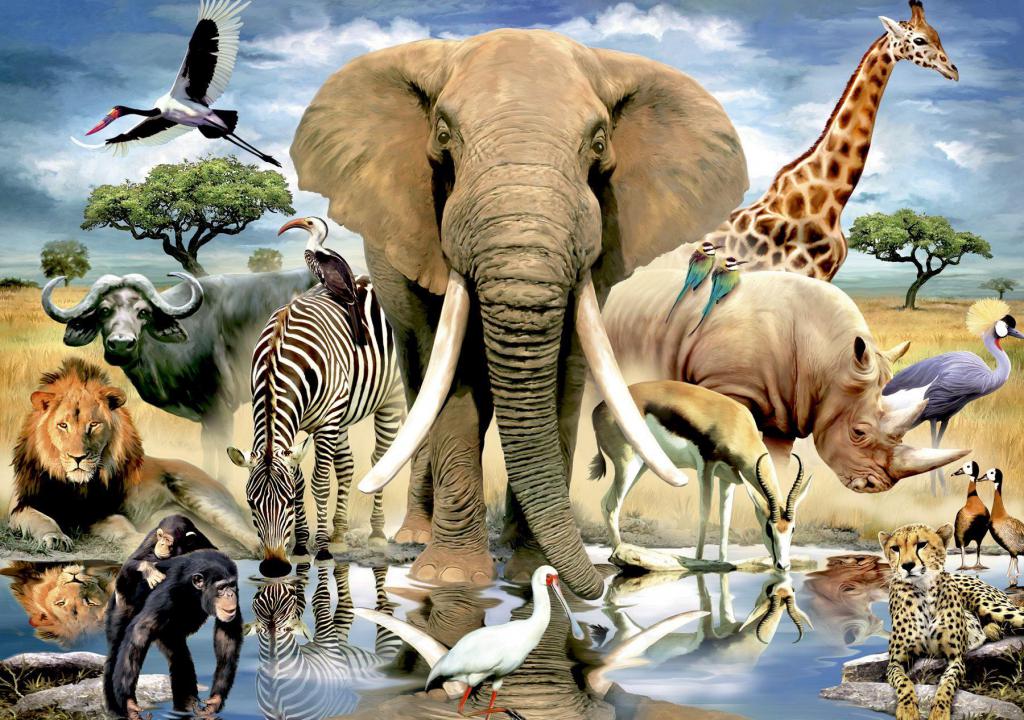 La diversité du monde animal