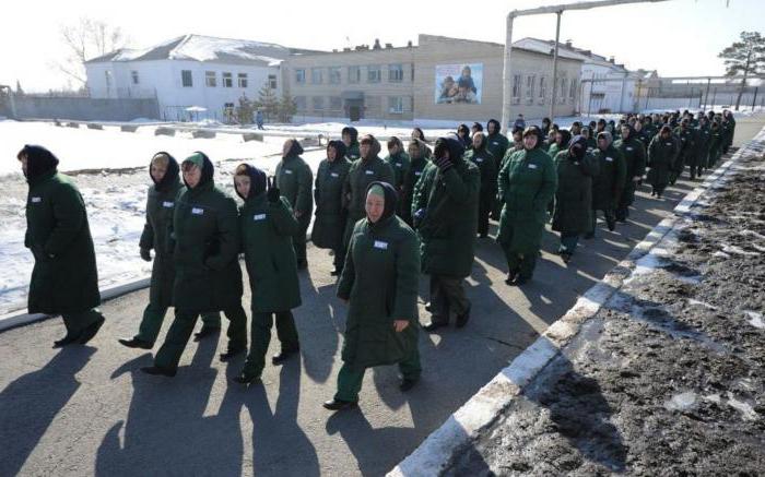 grâce conformément à la constitution de la fédération de russie