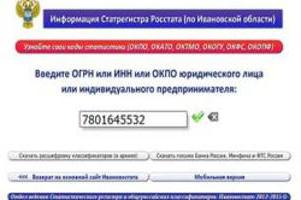 Est-ce que ip ogrn et okpo