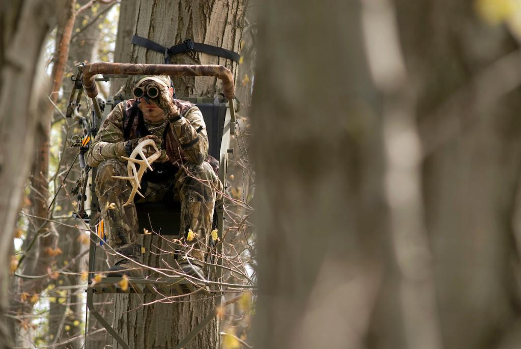 Méthodes de chasse, types de chasse