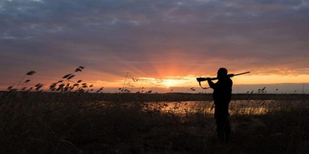 Quels sont les types de chasse