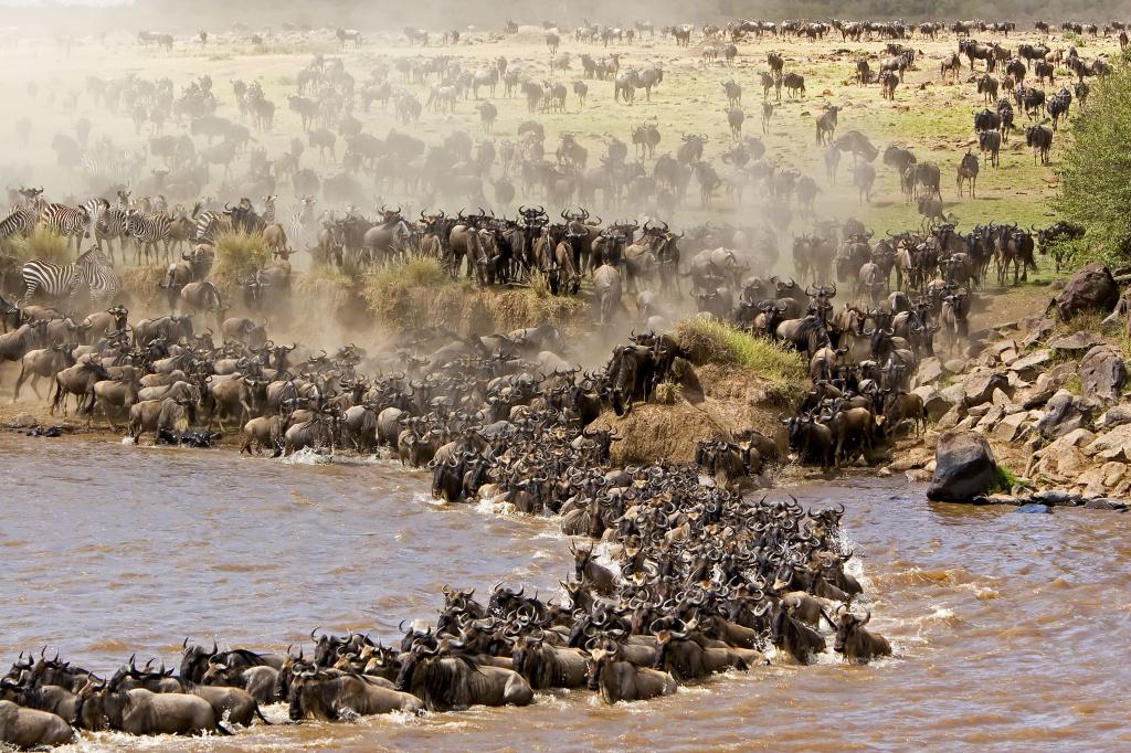 appartient à des zones naturelles spécialement protégées dans notre pays