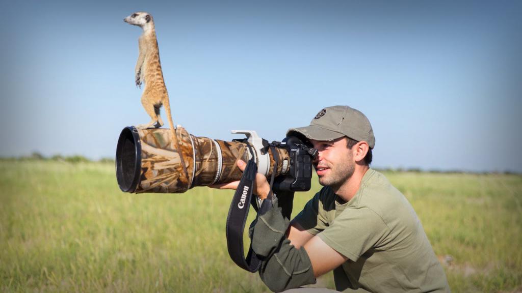 Photographie de la nature