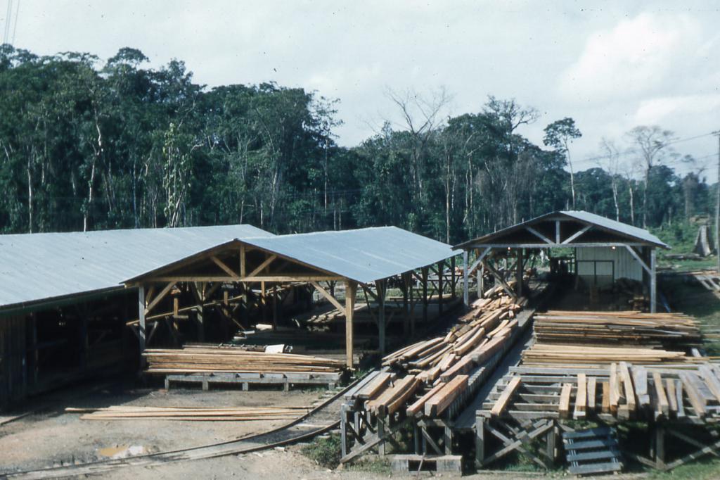 Scierie production