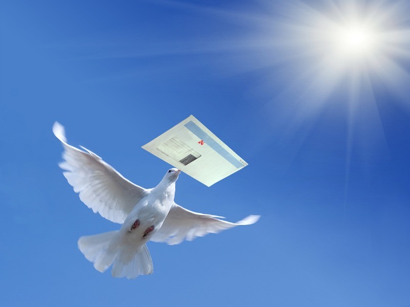 Vous pouvez envoyer un email anonymement.